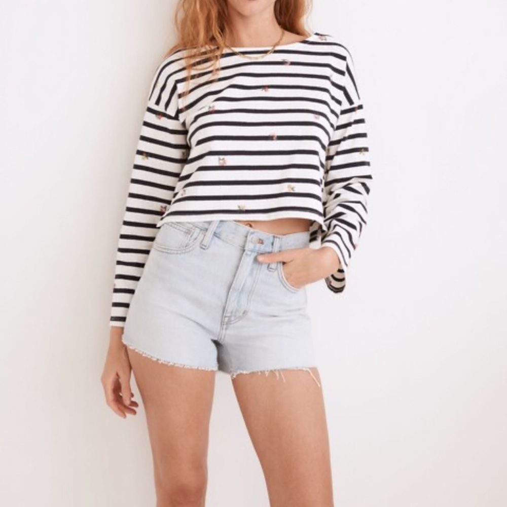 Madewell Cross-Stitch Embroidered Supercrop Long-Sleeve Tee in Stripe